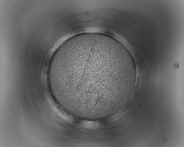 X0000112530155200908311431