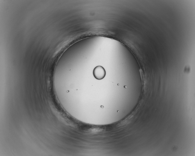 X0000112530158200908311431