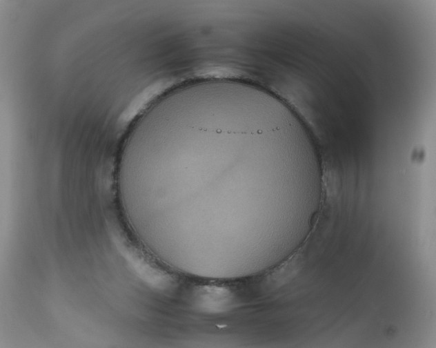 X0000112530159200908311431