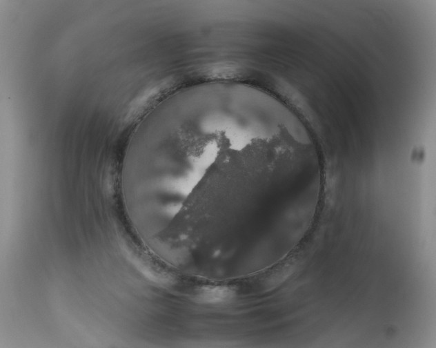 X0000112530161200908311431