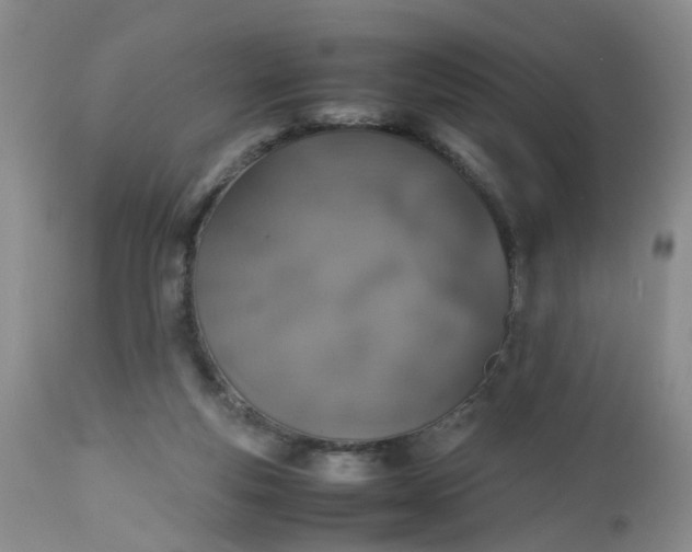 X0000112530163200908311431