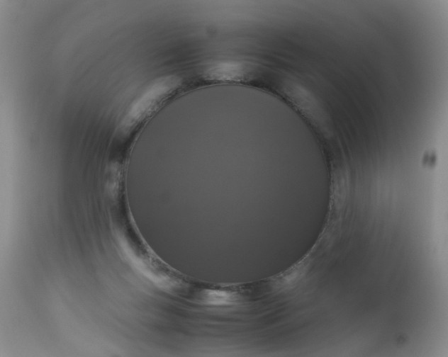 X0000112530167200908311431