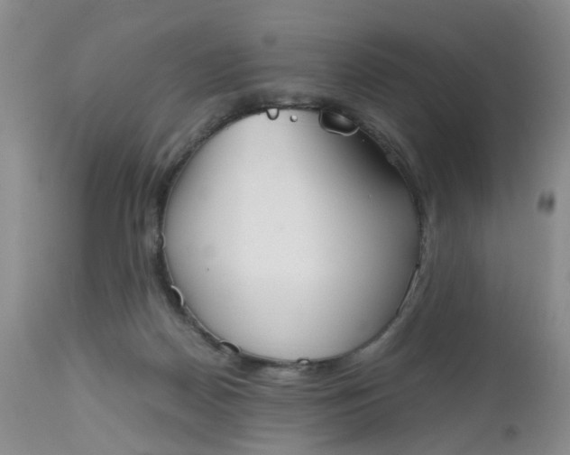 X0000112530170200908311431