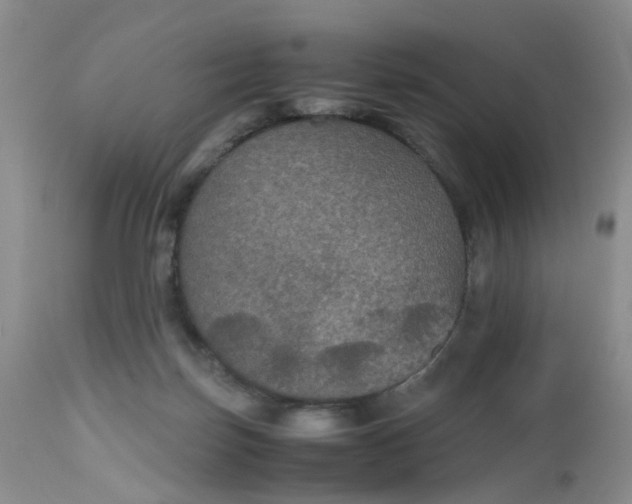 X0000112530171200908311431