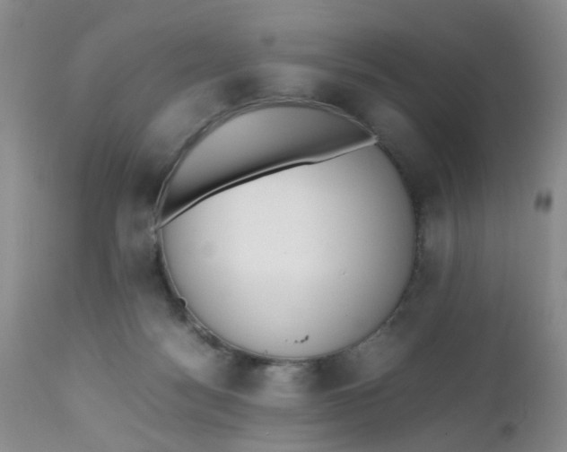 X0000112530172200908311431