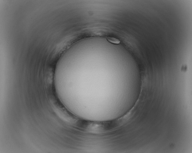 X0000112530174200908311431