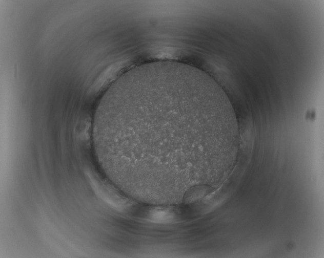 X0000112530175200908311431