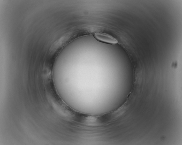 X0000112530176200908311431