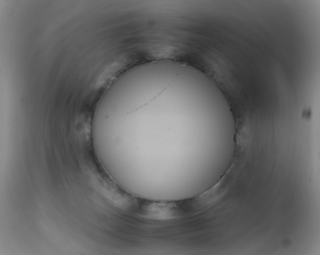 X0000112530179200908311431