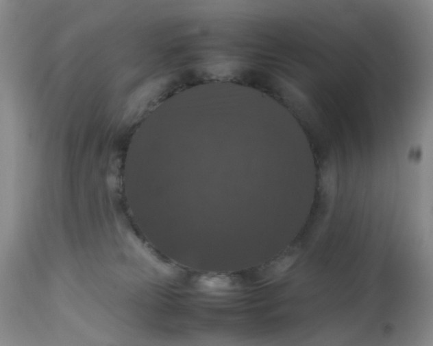 X0000112530181200908311431