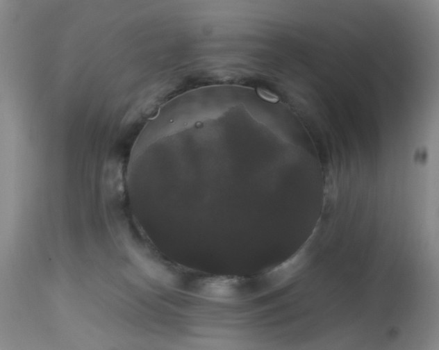 X0000112530182200908311431