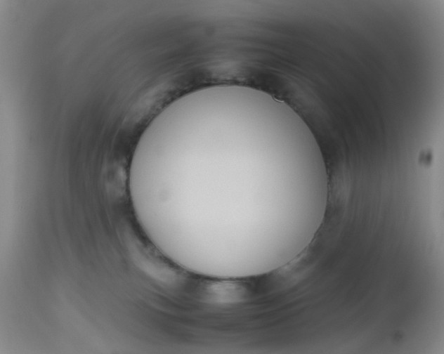 X0000112530183200908311431