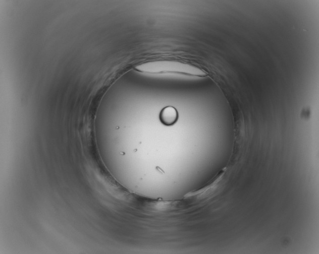 X0000112530184200908311431