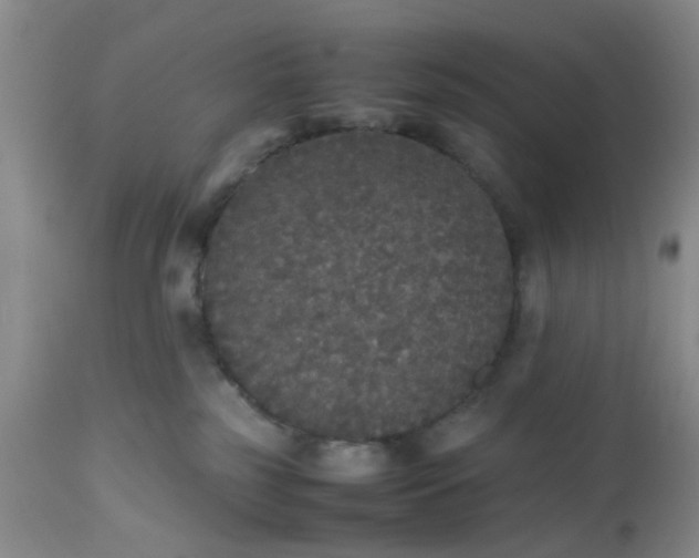 X0000112530185200908311431