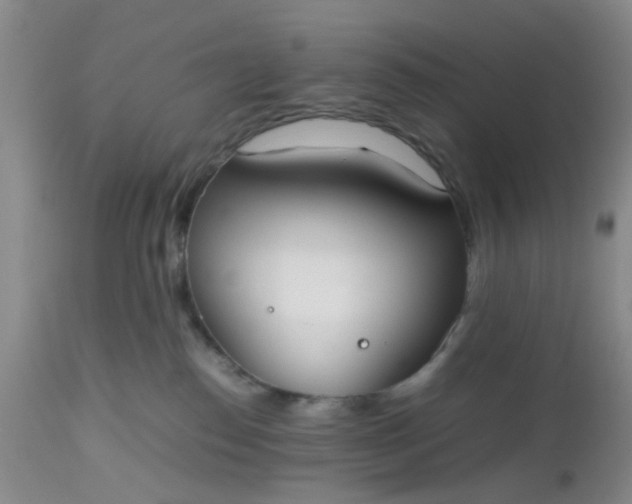 X0000112530186200908311431