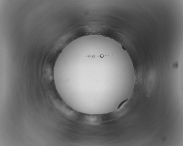 X0000112530187200908311431