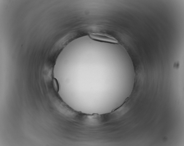 X0000112530188200908311431