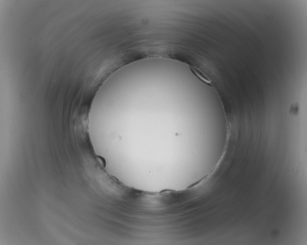 X0000112530190200908311431