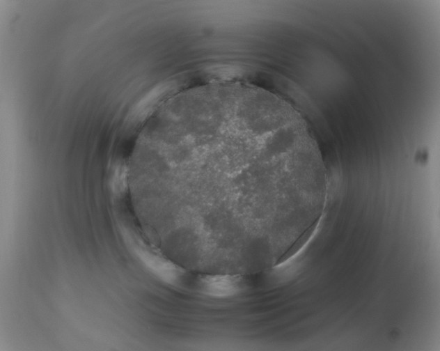 X0000112530191200908311431