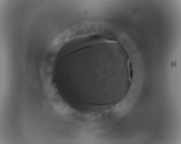 X0000112530192200908311431