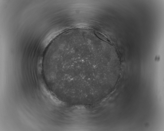 X0000112530194200908311431