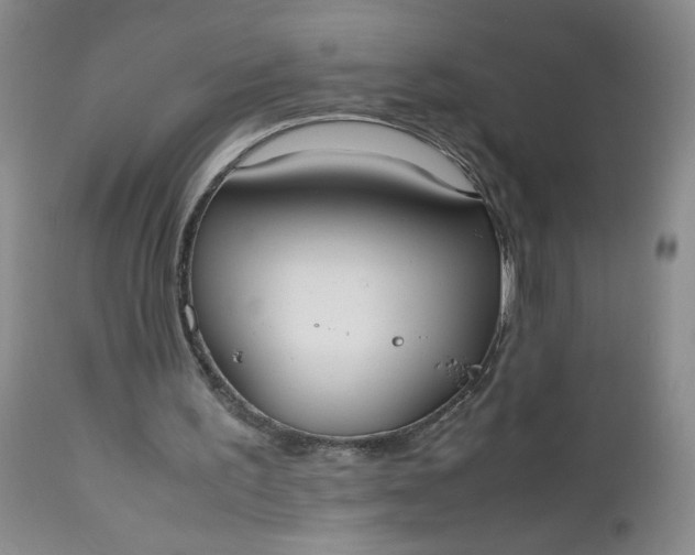 X0000112530195200908311431