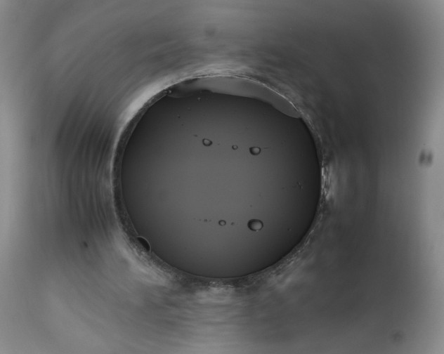 X0000112530196200908311431