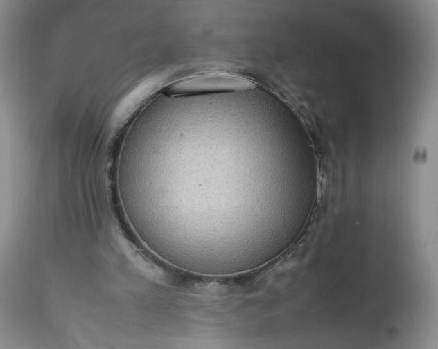 X0000112530197200908311431