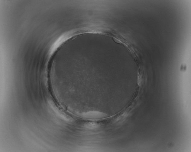X0000112530198200908311431