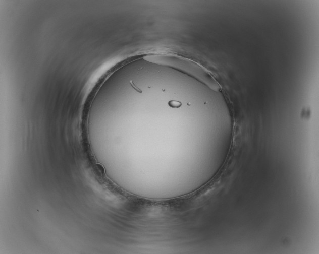 X0000112530200200908311431