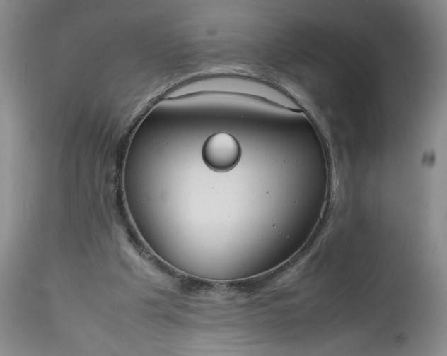 X0000112530201200908311431