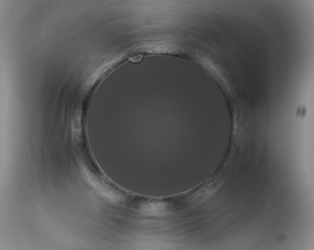 X0000112530202200908311431