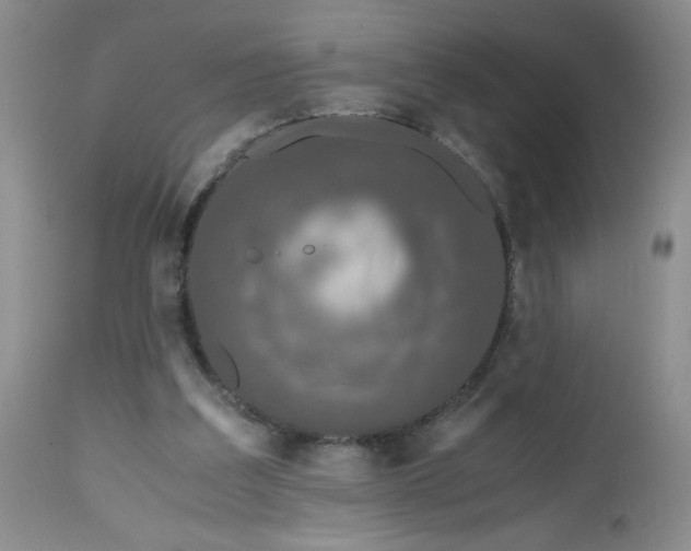 X0000112530203200908311431