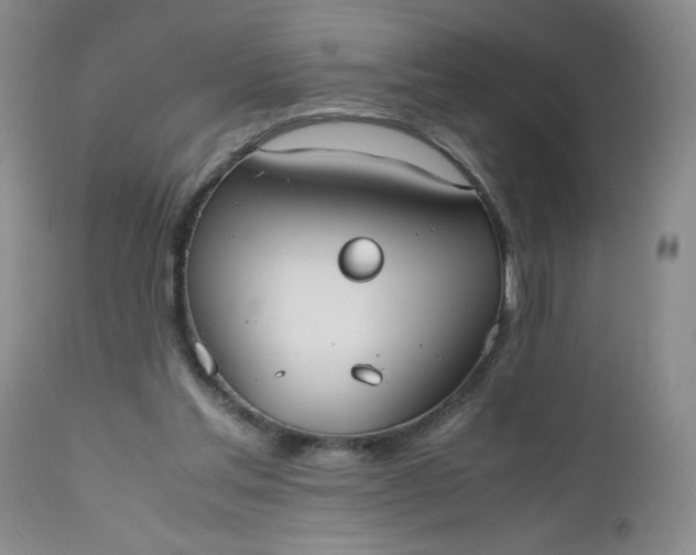 X0000112530205200908311431