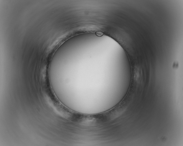 X0000112530206200908311431