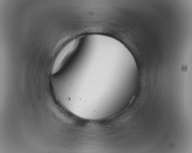 X0000112530207200908311431