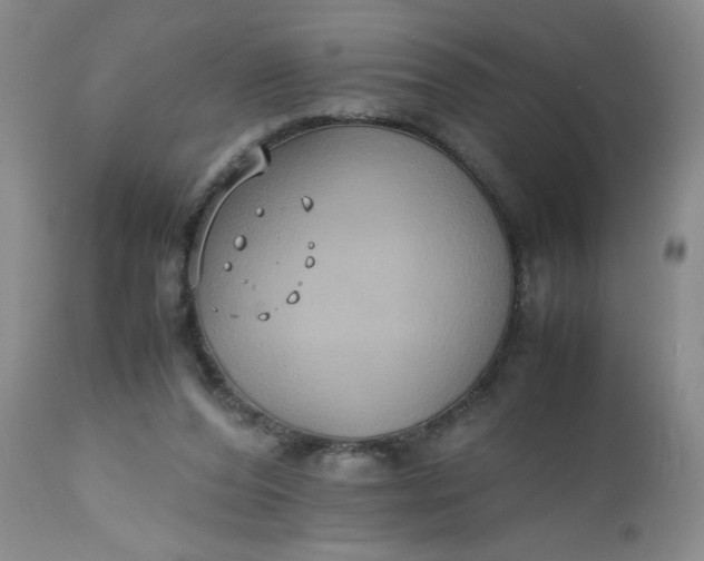 X0000112530208200908311431