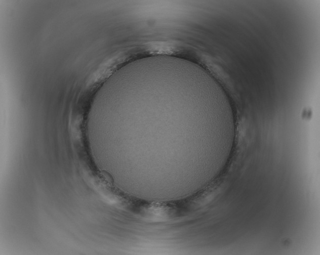 X0000112530209200908311431