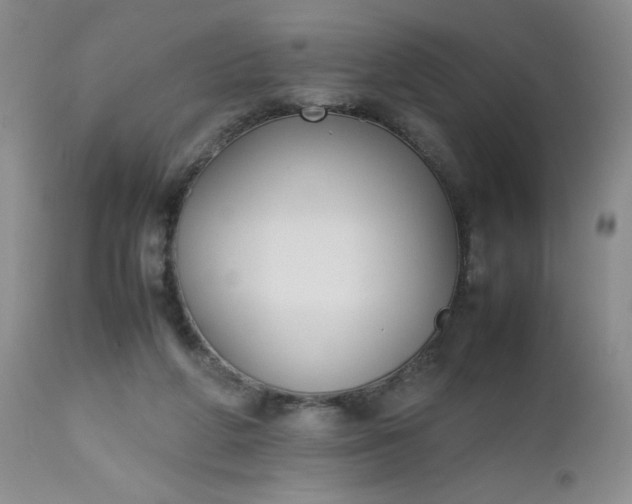 X0000112530210200908311430