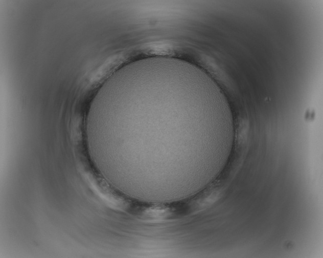 X0000112530213200908311430