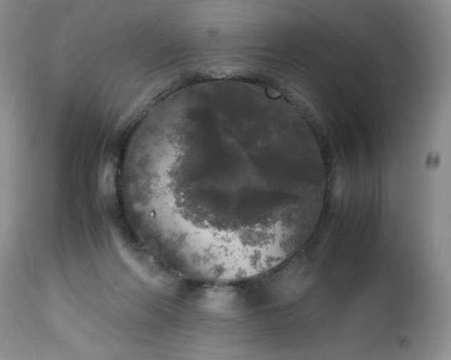 X0000112530214200908311430