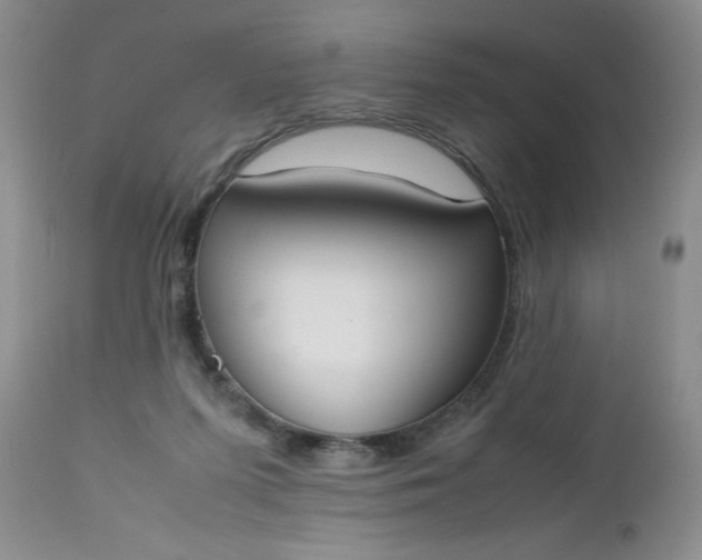 X0000112530215200908311430