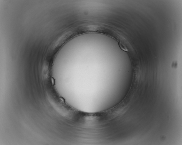 X0000112530216200908311430