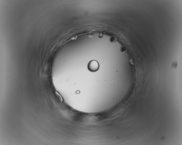 X0000112530217200908311430
