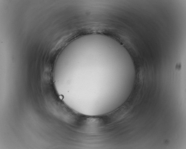 X0000112530218200908311430