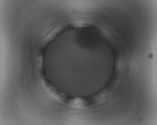 X0000112530219200908311430