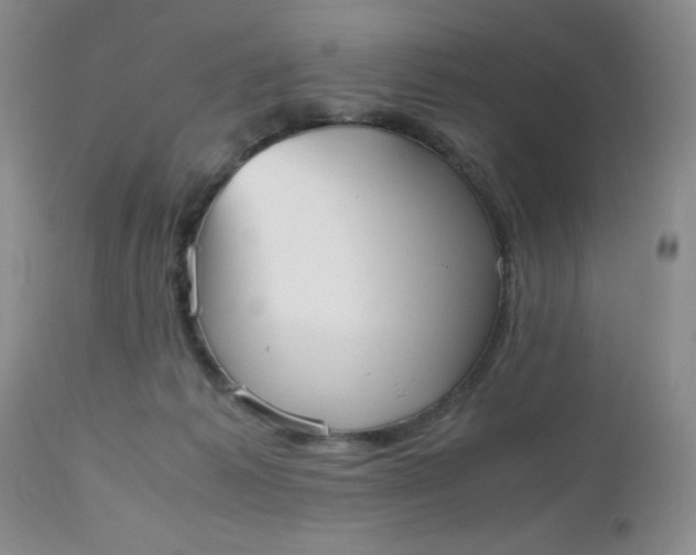X0000112530221200908311430