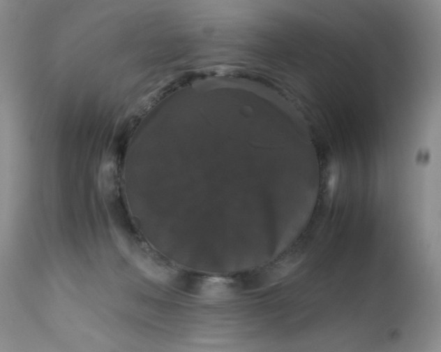 X0000112530222200908311430
