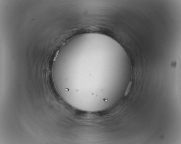 X0000112530223200908311430