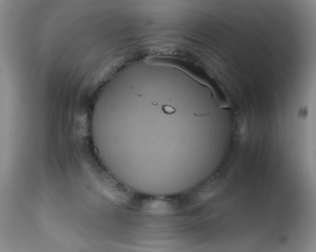 X0000112530224200908311430